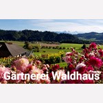 Dahlienschau und Naturkräuter, 3432 Lützelflüh-Goldbach