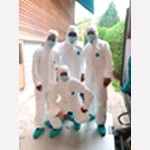 DELFIN UMZÜGE GmbH, 5012 Schönenwerd